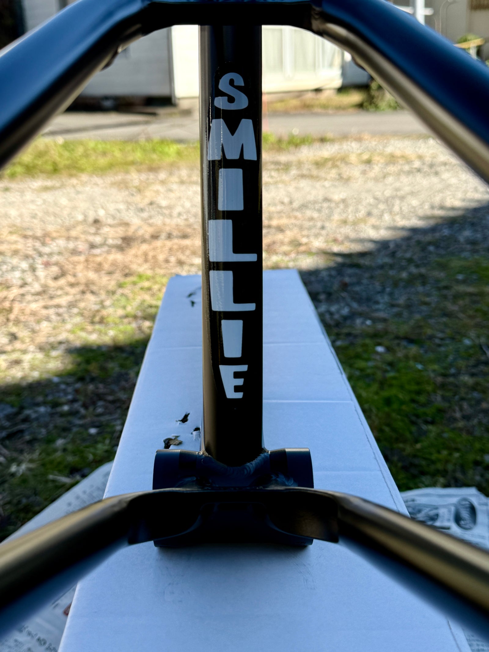 CULT DEVON BIGGIE フレーム 20.5