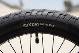 【25周年記念モデル】SUNDAY STREETSWEEPER 20.5" RAW【LHD】