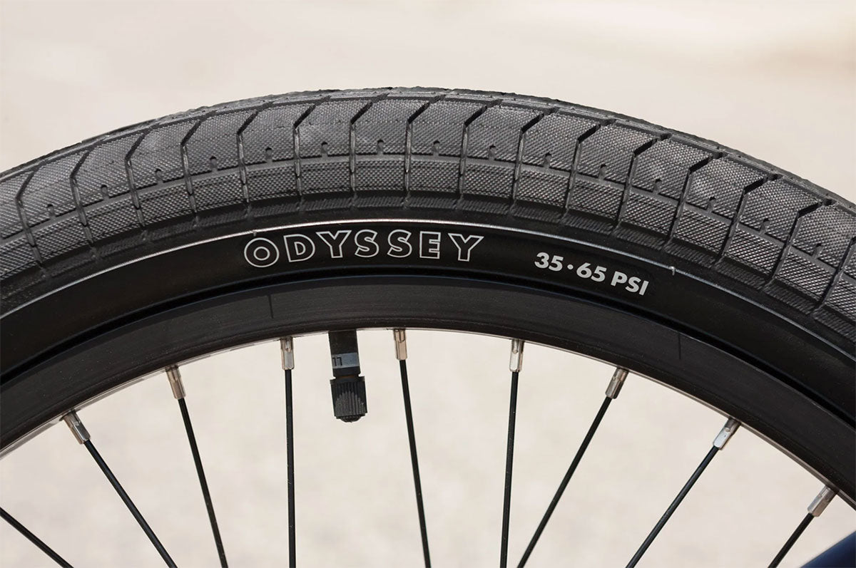 SUNDAY FORECASTER PARK 20.5