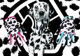 FIST Youth Dalmation / XXS