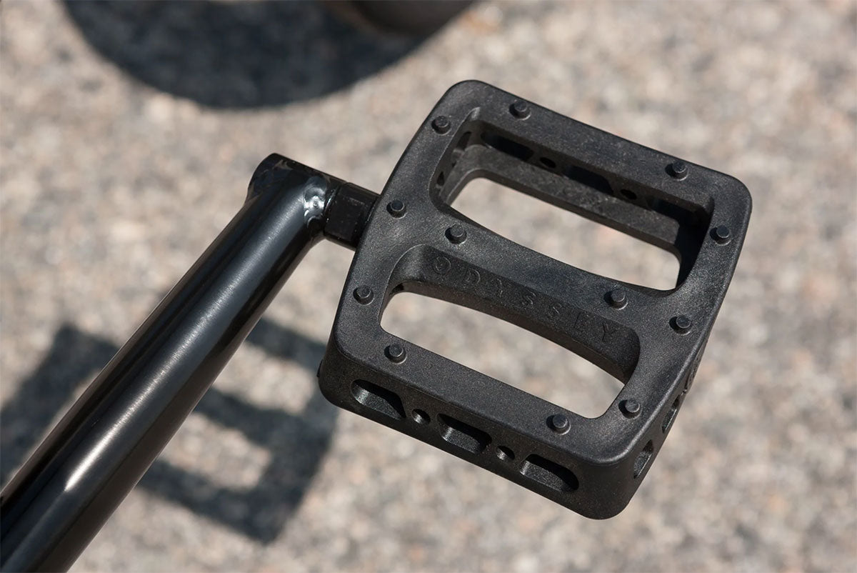 SUNDAY FORECASTER 20.75