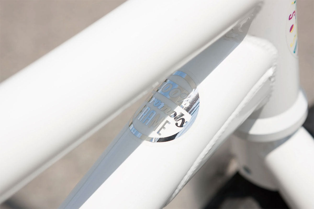 SUNDAY FORECASTER 20.5